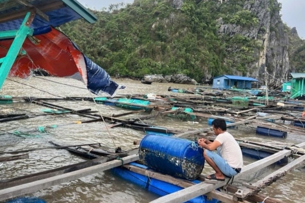 Tổng hợp nhu cầu giống, vật tư thủy sản để khôi phục sản xuất sau mưa lũ
