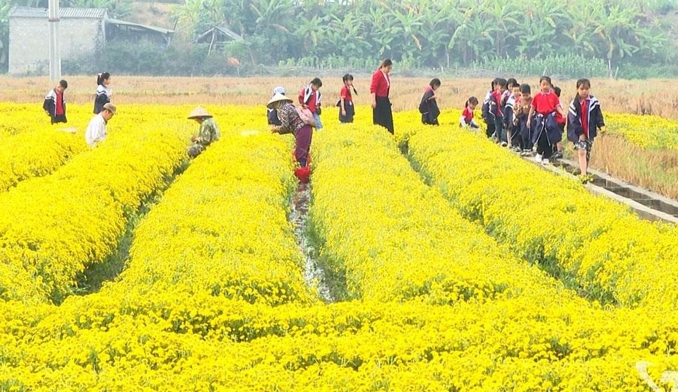 Hoàn thiện quy hoạch và chuỗi liên kết cho nông nghiệp