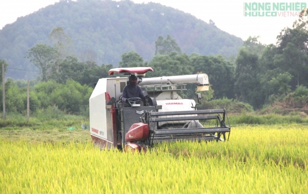 Nghệ An tích cực triển khai chính sách tín dụng phục vụ phát triển nông nghiệp, nông thôn