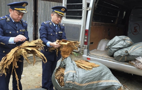 Cao Bằng: Thu giữ 1.231 kg nguyên liệu thuốc lá lá nhập lậu