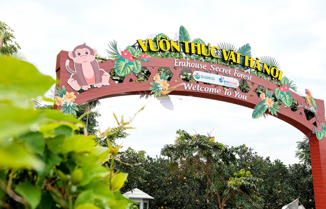 Vườn thực vật Hà Nội: Nơi bảo tồn, nghiên cứu và trải nghiệm độc đáo