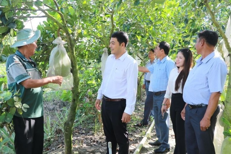 Phát triển kinh tế nông nghiệp bền vững