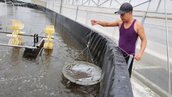 Thanh Hóa: Xã Tân Tiến tăng cường đẩy mạnh giảm nghèo đa chiều
