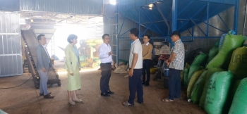 Yêu cầu lò sấy cà phê của Công ty TNHH MTV Thuận Diễn chấm dứt hoạt động trước ngày 15/12/2025