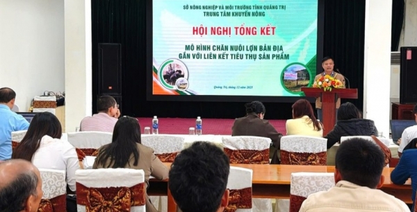 Quảng Trị: Tổng kết mô hình chăn nuôi lợn bản địa liên kết tiêu thụ sản phẩm