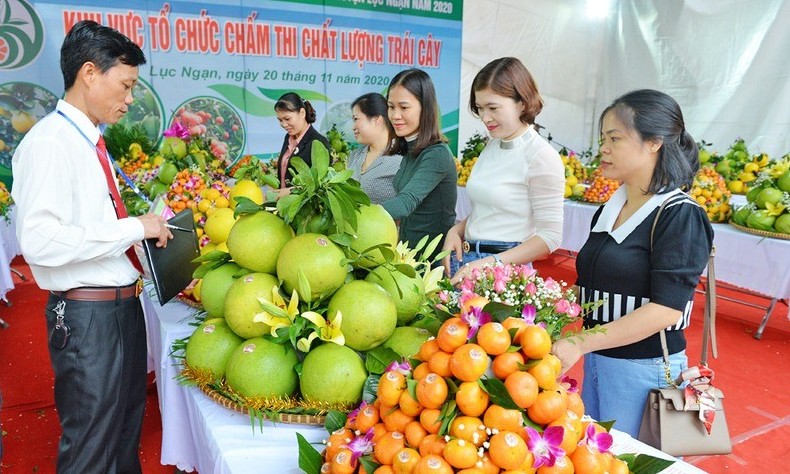 Từ lễ hội đến "thị trường số": Nông sản Bắc Ninh mở rộng không gian tiêu thụ