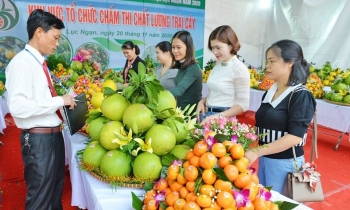 Từ lễ hội đến "thị trường số": Nông sản Bắc Ninh mở rộng không gian tiêu thụ