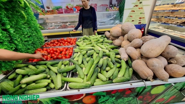 Thị trường nông sản Hải Phòng: Khi "vàng đỏ" là ớt và "rau xanh" đang hồi sức sau lũ