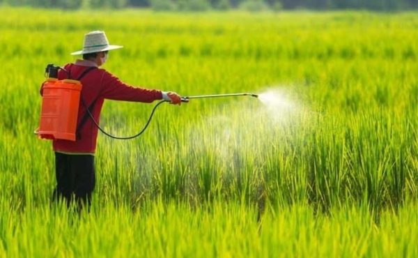 Nông nghiệp bền vững từ sử dụng thuốc bảo vệ thực vật đúng cách