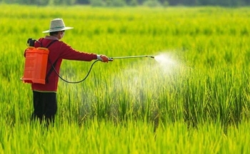 Nông nghiệp bền vững từ sử dụng thuốc bảo vệ thực vật đúng cách