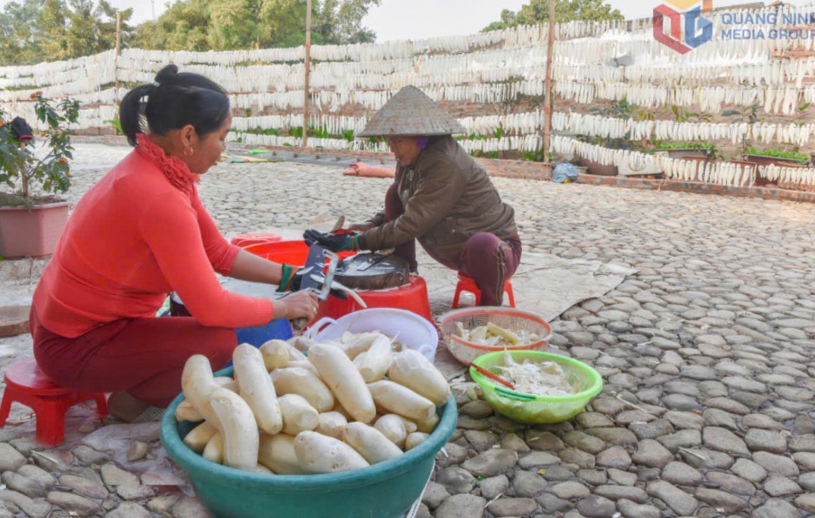 Quảng Ninh nâng tầm nông sản: Từ lợi thế bản địa đến giá trị thị trường