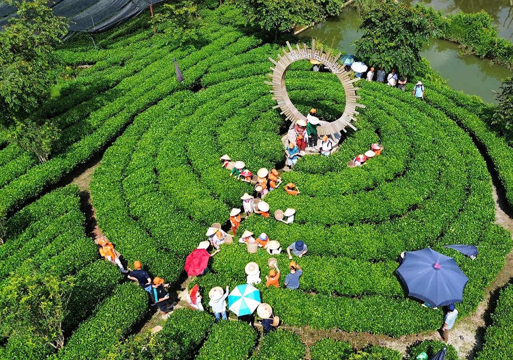 Nông nghiệp thông minh: Điểm sáng giảm nghèo ở Thái Nguyên