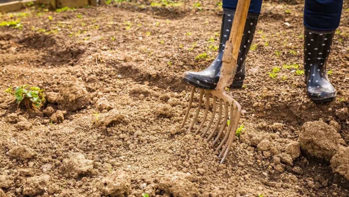 Không để đất “kiệt sức” sau mùa vụ: Giải pháp cải tạo đất cho nông nghiệp xanh