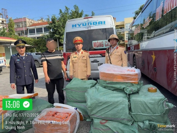 Quảng Ninh: Bắt giữ 480kg trứng gà non đông lạnh không rõ nguồn gốc