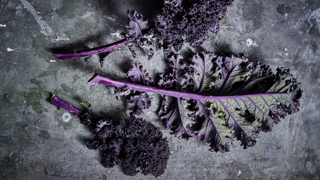 Cải xoăn cũng có phiên bản cao cấp - bản màu đỏ tía Tesco Finest chính thức ra mắt