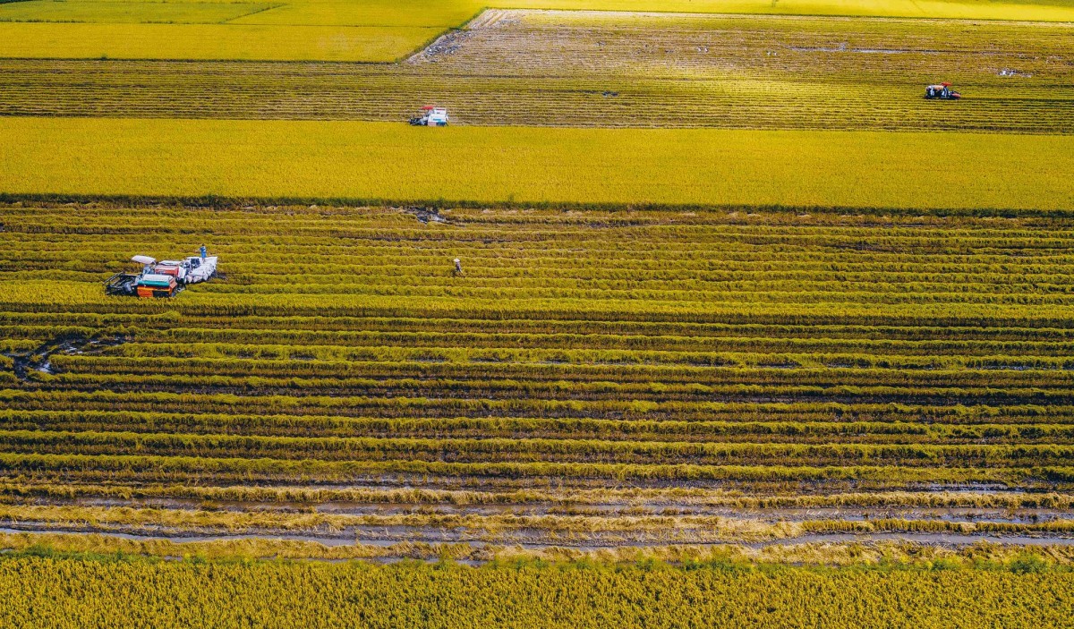 Những dấu ấn của Nông nghiệp hữu cơ Việt Nam năm 2025