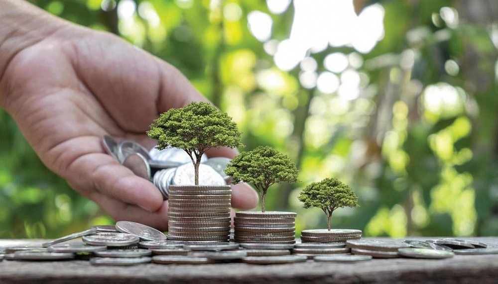 Những dấu ấn của Nông nghiệp hữu cơ Việt Nam năm 2025 Những dấu ấn của Nông nghiệp hữu cơ Việt Nam năm 2025