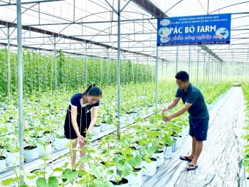 Cao Bằng: 14.012 hộ nông dân đạt danh hiệu sản xuất kinh doanh giỏi năm 2025