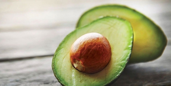 Hạt bơ tăng miễn dịch trên tôm thẻ chân trắng