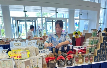 Người phụ nữ biến ruộng Rươi thành “vàng hữu cơ” ở thành phố Cảng