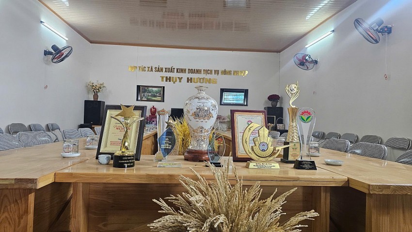 Người phụ nữ biến ruộng Rươi thành “vàng hữu cơ” ở thành phố Cảng