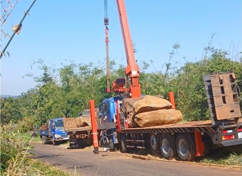 Lâm Đồng: Xã Tuy Đức phát hiện vụ vận chuyển đá cây không rõ nguồn gốc, xuất xứ