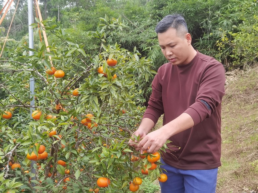 Du khách tới trải nghiệm tại vườn.