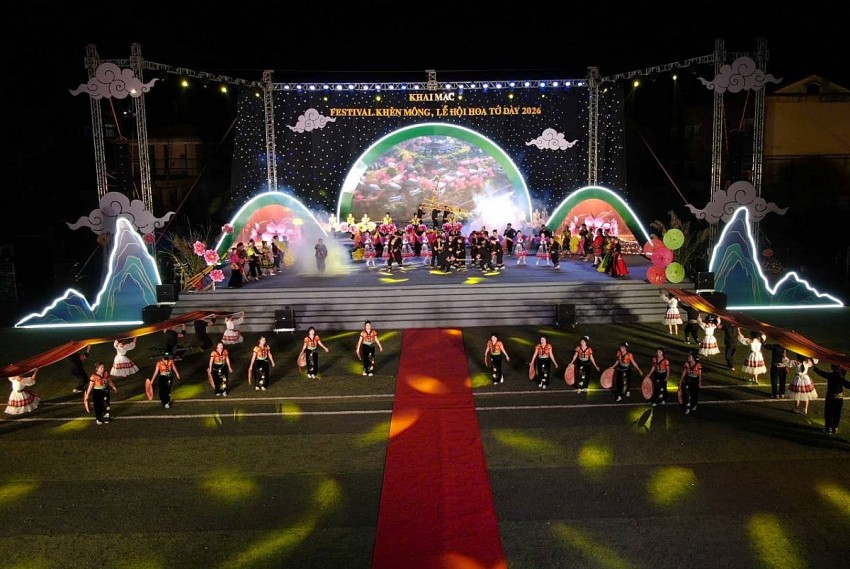 Rực rỡ sắc hoa Tớ Dày trên non cao Mù Cang Chải