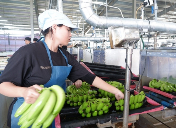 Nâng giá trị nông sản để giữ nhịp tăng trưởng GRDP cho Tây Ninh