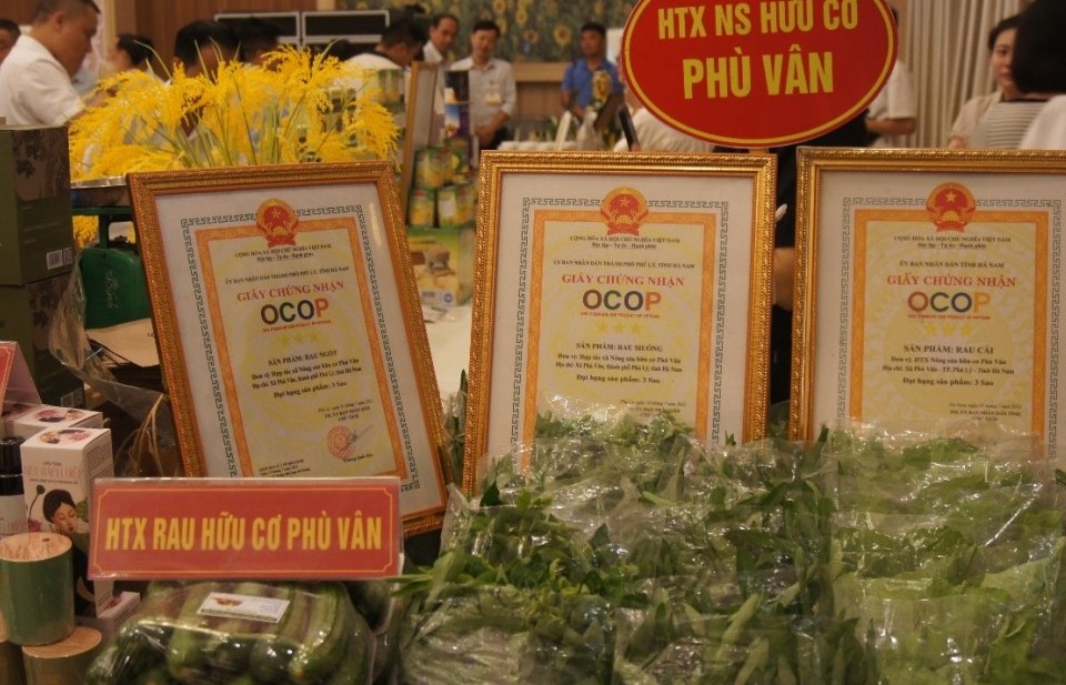 HTX Nông sản Phù Vân – Hướng đi bền vững từ nông nghiệp sạch OCOP