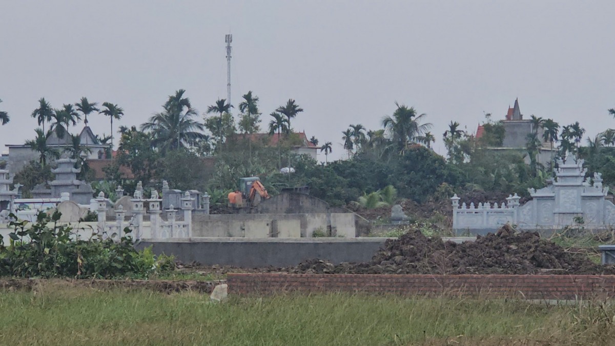 Hải Phòng: Hàng trăm mẫu ruộng 