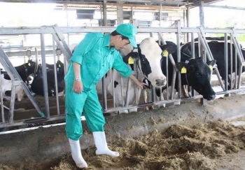 Gia Lai: Chuyển dịch mạnh sang chăn nuôi tập trung, quy mô lớn