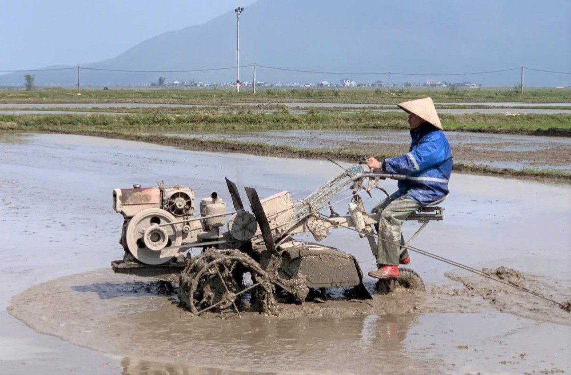 Nông dân Hà Tĩnh hướng tới sản xuất hữu cơ ngay từ đầu vụ Đông Xuân
