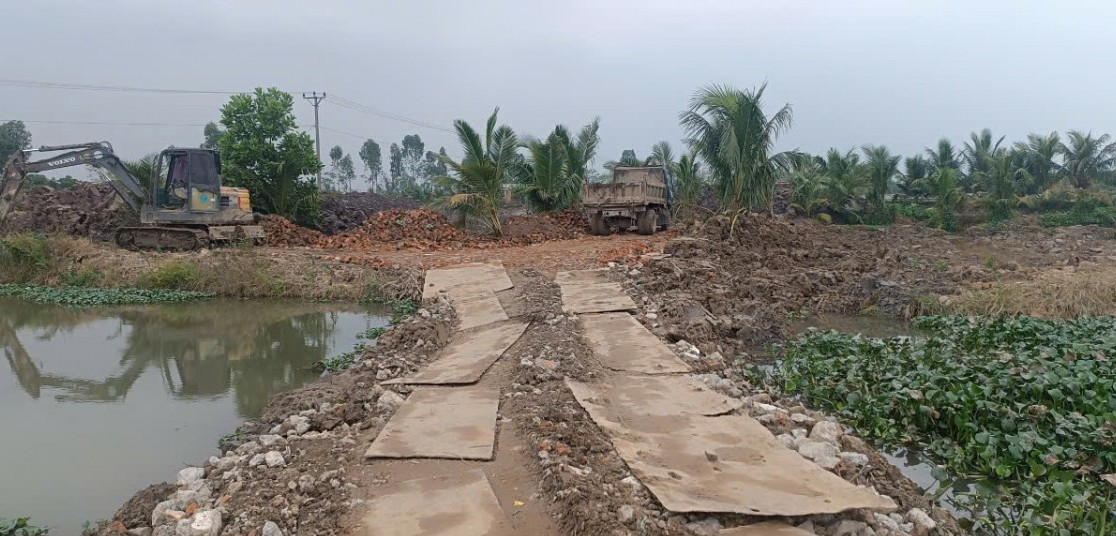 Hải Phòng: Hàng trăm mẫu ruộng "kêu cứu" trước nguy cơ bị "bức tử"