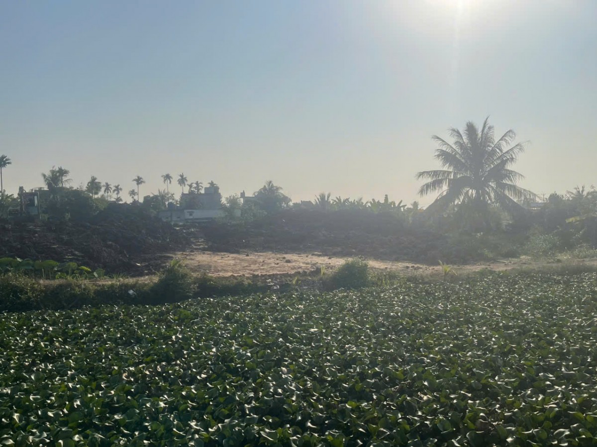 Hải Phòng: Hàng trăm mẫu ruộng 