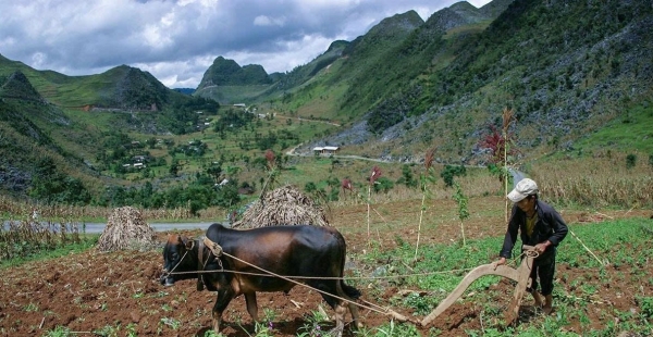 Lâm Đồng ban hành chính sách mới về hỗ trợ đất đai cho đồng bào dân tộc thiểu số