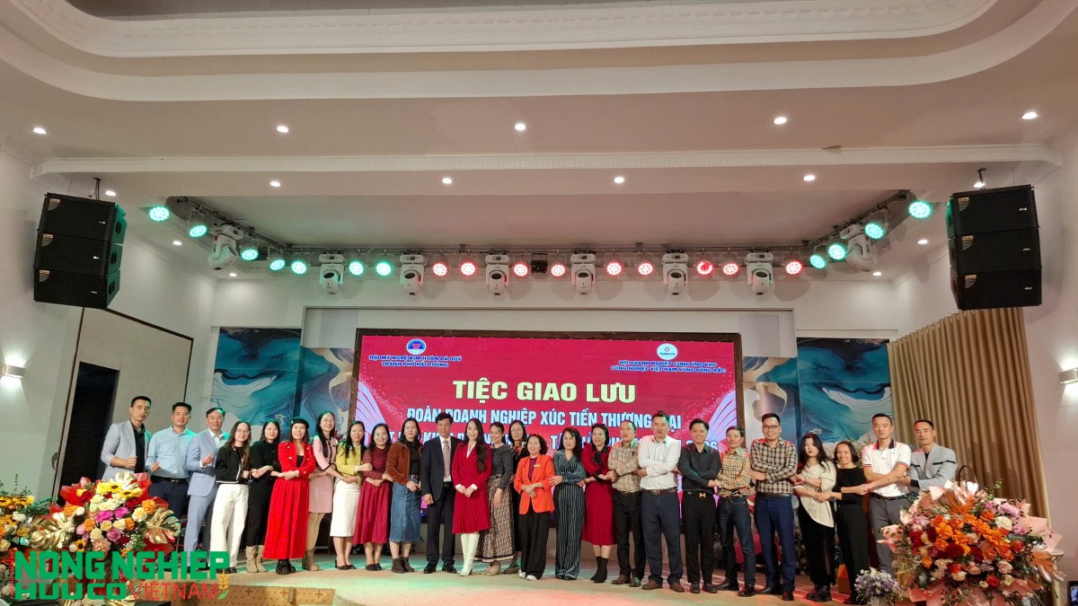 Giao lưu, kết nối doanh nghiệp Đông - Tây Hải Phòng đầu năm 2026