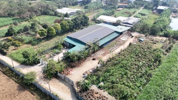 Phú Thọ: Cần giám sát chặt chẽ tình trạng xây dựng trái phép trên đất nông nghiệp tại xã Vĩnh Phú