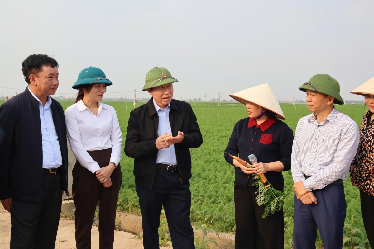 Hải Phòng quan tâm, chăm lo tới tình hình sản xuất nông nghiệp, sản xuất kinh doanh trên địa bàn