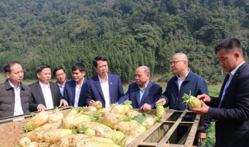 Phú Thọ: Bí thư Tỉnh ủy Phạm Đại Dương thăm mô hình nông nghiệp sạch và trao tặng thiết bị học tập cho trường học vùng cao