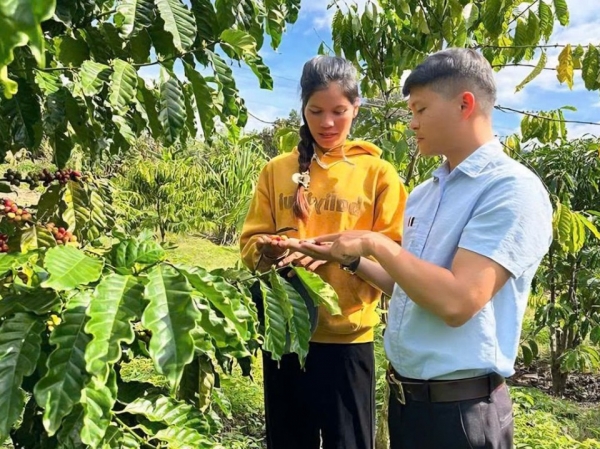 Gia Lai: Hội Nông dân trở thành "điểm tựa" vững chắc cho dân tộc thiểu số phát triển kinh tế