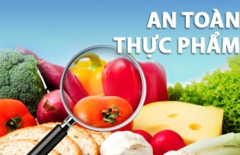 An toàn thực phẩm: Góc nhìn thực tiễn từ siêu thị lớn như BRG, MM Mega Market đến Hạ Long Canfoco