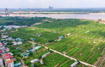 Phát triển sản phẩm xanh, sản phẩm văn hóa sáng tạo, sản phẩm OCOP phục vụ xuất khẩu