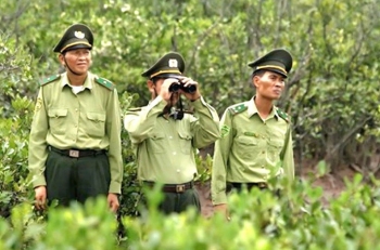 Gia Lai ban hành quy định mới về chi trả dịch vụ môi trường rừng