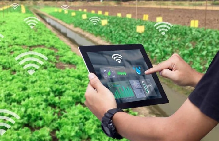 Con đường tất yếu cho tương lai: Phát triển một nền nông nghiệp hiện đại, bền vững