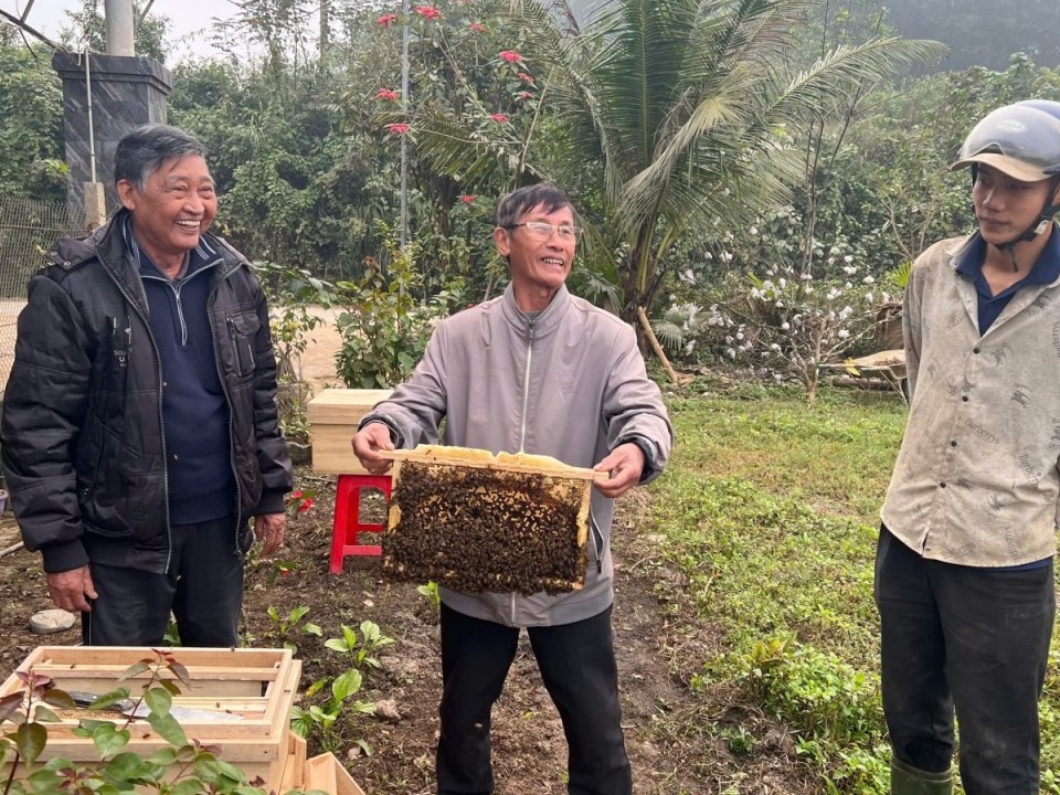 Quảng Trị: Hỗ trợ bà con nông dân các giống cây ăn quả và ong thích ứng với biến đổi khí hậu