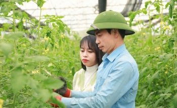 Lào Cai nở rộ mô hình nông nghiệp xanh