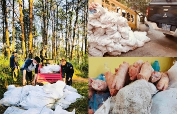 Chặn đứng 1,5 tấn thực phẩm đông lạnh và hơn 3,3 tấn lá thuốc lá nhập lậu dịp cận Tết