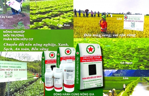 Phân bón Hữu cơ Ngôi sao đồng hành cùng nông gia hướng tới nền nông nghiệp xanh