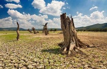 Lâm Đồng triển khai đồng bộ Chương trình hành động chống sa mạc hóa đến năm 2030, tầm nhìn 2050